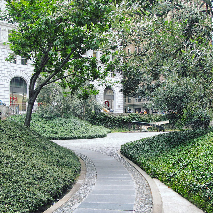 1 Bush Street Urban Garden