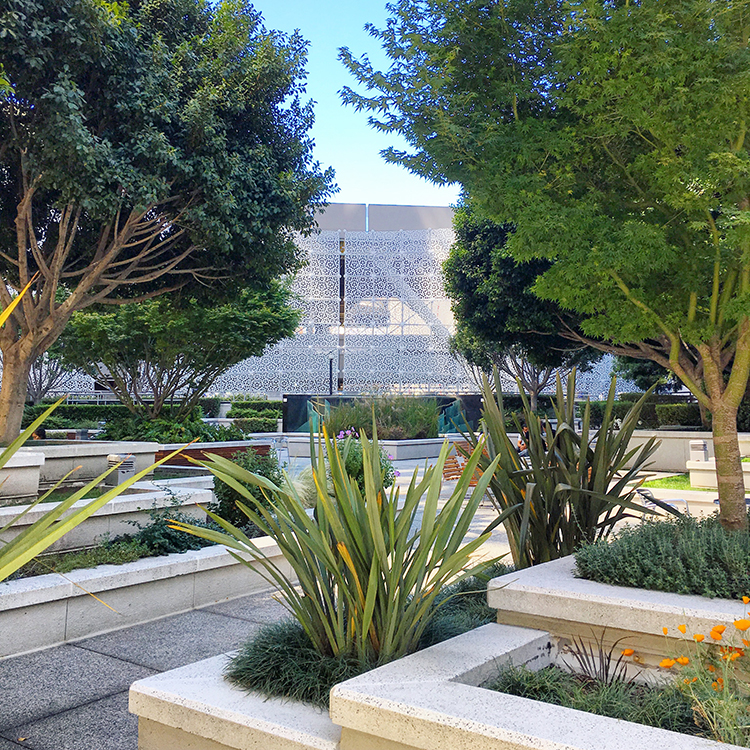 100 1st St Sun Terrace, Indoor Park, Snippet