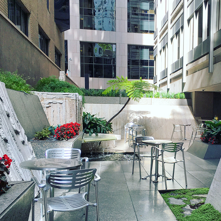 100 Pine St Urban Garden