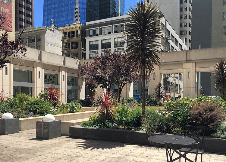 14 Fremont St Pedestrian Walkways