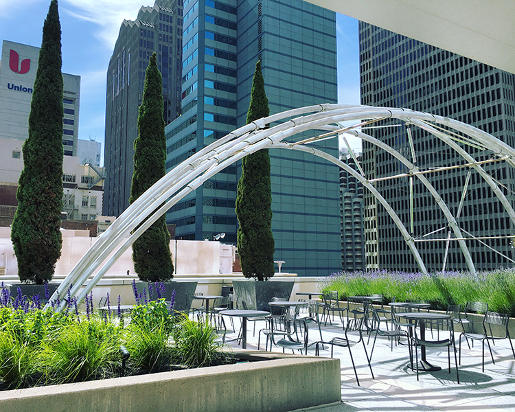 150 California St Sun Terrace