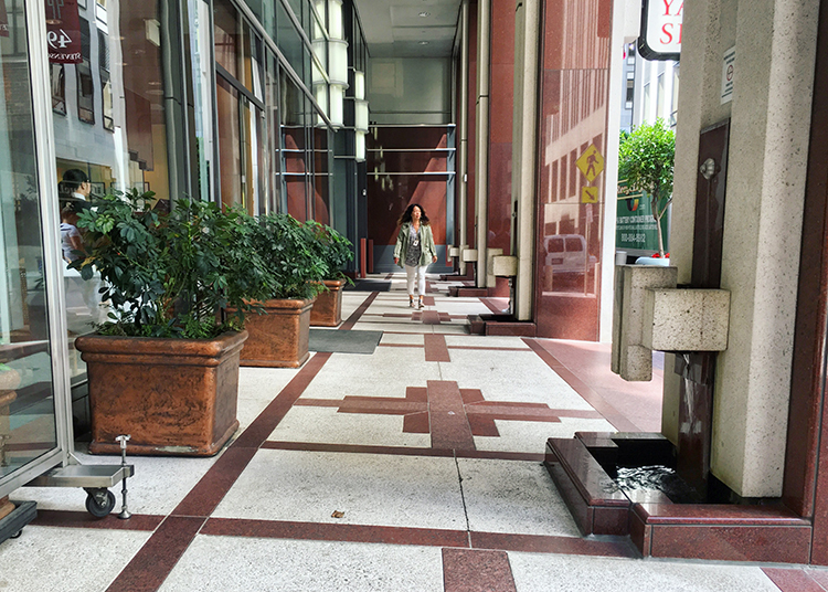 49 Stevenson St Pedestrian Walkway